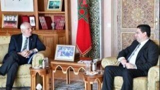 بوريل